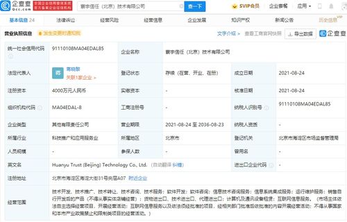 信息系統集成服務 構建企業數字化轉型的核心橋梁